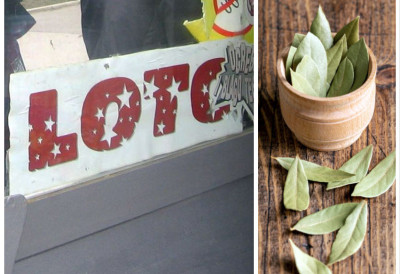 ЕВО ШТА МОЖЕ ДОНЕТИ СРЕЋУ ЛОТО ИГРАЧИМА Жена открила да јој је ова биљка омогућила добитак од преко 29.000 евра