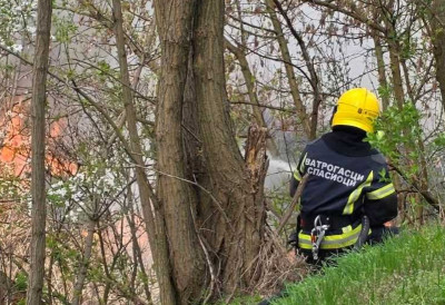 (ФОТО) ВАТРЕНА СТИХИЈА КОД БЕЧЕЈА Горела трска на више хектара, густ дим прекрио околину