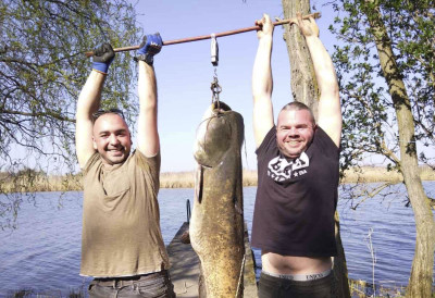 РАПОРТ С ВОДЕ Голмански рефлекс, а сом поново плива