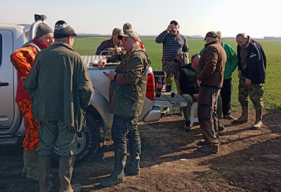 ЗЕЦ СЕ ОПОРАВЉА, ЛОВИЋЕ СЕ И СРНЕ Обављено пролећно бројање дивљачи у Руменки