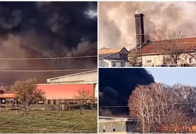 Нови детаљи пожара у Иригу БОРБА СА ВАТРОМ УШЛА У 5. САТ Горе два објекта, захваћено 5.000м2 (ВИДЕО)