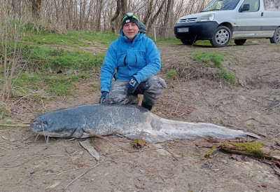 РАПОРТ С ВОДЕ У Сави уловљен сом двометраш