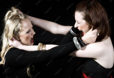 ПОСЛЕ СВАЂЕ КРЕНУЛА ТУЧА Жене песницама износиле аргументе!