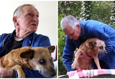 (ФОТО, ВИДЕО) Дирљива прича! ИВИЦА (74) СВАКИ ДАН ВОЗИ СВОГ БОЛЕСНОГ ПСА У КОЛИЦИМА: „Ово је Боби, не могу да га успавам, бринем као о детету“