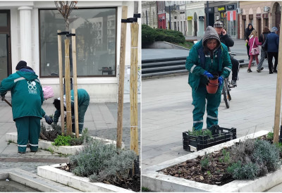 РАДНИЦИ ГРАДСКОГ ЗЕЛЕНИЛА У АКЦИЈИ Кренуло пролећно улепшавање града