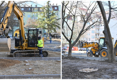 УРБАНИ ЏЕПОВИ У РУМИ ДОБИЈАЈУ НОВИ ЖИВОТ! Старија стабла се мењају квалитетним садницама