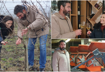 ГАЈЕ ГРОЖЂЕ, ПРАВЕ ВИНА, ПРЕРАЂУЈУ ДРВО И ГРАДЕ ЖИВОТ У ПРОВИНЦИЈИ „Сваком бих пожелео овакву животну и породичну геометрију”, каже 24-каратни Лала