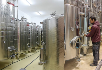 ВИНАРИЈЕ У ПОТРАЗИ ЗА СТРУЧЊАЦИМА Подрумара мало, а без њих нема доброг вина ОНИ СУ ДЕСНА РУКА ТЕХНОЛОГА