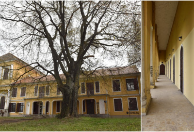 (ФОТО) КАКВЕ ТАЈНЕ КРИЈЕ ДВОРАЦ МАРЦИБАЊИ-КАРАЧОЊИ У КАМЕНИЧКОМ ПАРКУ Прича о племству, вину и старом господству