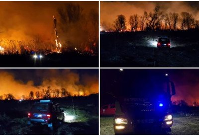 (ВИДЕО) Ватрогасци из Новог Сада и Беочина и даље пристижу! ВАТРЕНА ДРАМА КОД РАКОВЦА СЕ НЕ СМИРУЈЕ У пламену огромна површина