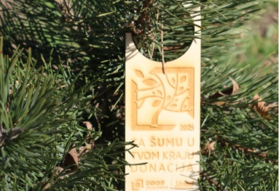 80 СТАБАЛА ЗА 80 ГОДИНА: Компанија ДДОР осигурање реализовала акцију „За шуму у твом крају“