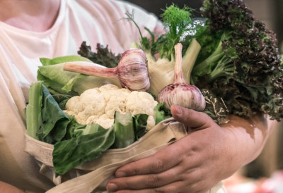 СУБОТИЦА ПОКРЕЋЕ АКЦИОНИ ПЛАН ЗА ОРГАНСКУ ПРОИЗВОДЊУ Ево шта аграрци стварно желе