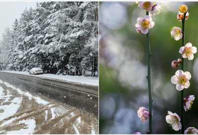 ШОК, УБРЗО ЋЕ БИТИ И ДО 25 СТЕПЕНИ! Ево од ког датума креће право пролеће у Србији!