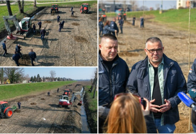 (ФОТО) Зазеленеће се 13,5 хектара! НА ОБАЛИ САВЕ У СРЕМСКОЈ МИТРОВИЦИ посађено 3.500 САДНИЦА ТОПОЛЕ Ново дрвеће стиже и у Зрењанин, Сечањ, Оџаке...