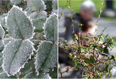 УЈУТРУ МРАЗ, преко дана и преко 20 степени! НОВО ОГЛАШАВАЊЕ РХМЗ: Ево каква је НОЋ пред нама!