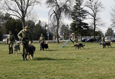(ФОТО) ОДАНИ ВОЈНИЦИ НА ЧЕТИРИ НОГЕ Почела обука водича паса и дресура служебих паса за војну службу