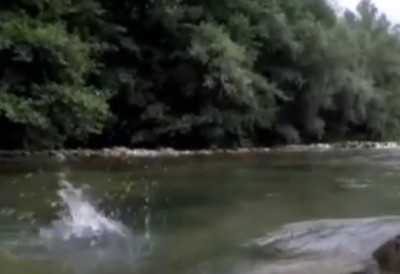 (ВИДЕО) СКРИВЕНИ ДРАГУЉ СРБИЈЕ Ово је једна од најчистијих река у Европи ОСТАВЉА БЕЗ ДАХА СВАКОГ КО ЈЕ ВИДИ