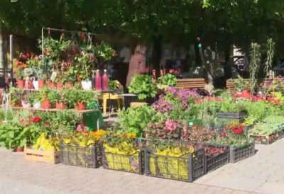 Домаћи кулинарски специјалитети, мажореткиње, рукотворине СУТРА ПОЧИЊЕ ПРОЛЕЋНИ БАЗАР У АПАТИНУ