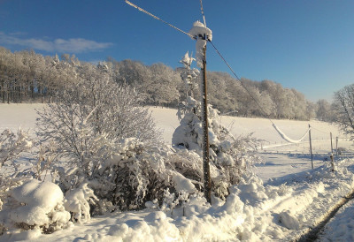 СНЕГ НАПРАВИО ХАОС У УНСКО-САНСКОМ КАНТОНУ Око 50.000 људи без струје НАЈТЕЖА СИТУАЦИЈА У БИХАЋУ И ЦАЗИНУ
