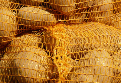 СВИ ЈЕ БАЦАЈУ, А ЗЛАТА ВРЕДИ Ево зашто НЕ ТРЕБА да бацате МРЕЖИЦУ ОД КРОМПИРА