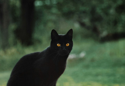 ДВА МЕСЕЦА ЗАРЕДОМ ПЕТАК 13! Нумеролози тврде: „Ово се не дешава без разлога!“