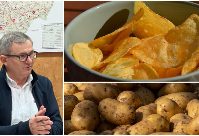 КРОМПИР НОВИ СРПСКИ АДУТ Гламочић: Србија је 13. извозник чипса у свету ВЕЛИКИ ПОТЕНЦИЈАЛ ЗА ДАЉИ РАЗВОЈ ПРЕРАДЕ ДОМАЋЕ КРТОЛЕ