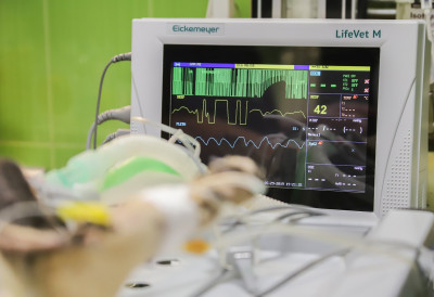 ШТА ЧУЈУ ЉУДИ КОЈИМА СТАНЕ СРЦЕ? Нова студија тврди да мозак остаје активан ИМАМО НЕКОЛИКО СЕКУНДИ ВРЕМЕНА ЗА ПОВРАТАК