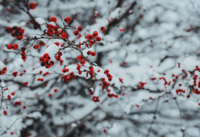 Још ћемо се смрзавати! ХЛАДАН ФРОНТ СТИЖЕ У СРБИЈУ Баба Марта ће „ударити“ свом снагом: Од ОВОГ датума потпуни ПРЕОКРЕТ времена
