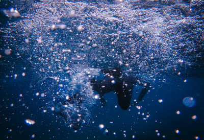 (ВИДЕО) ОПУШТЕНО РОНИО У ОКЕАНУ, А ОНДА ЈЕ УСЛЕДИЛА ЈЕЗА Иза њега се одједном створила огромна сенка