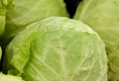 ЕВО КАКО ДА ВАМ КУПУС САЛАТА ИСПАДНЕ КАО ПРАВА РЕСТОРАНСКА Трик је у сечењу купуса и дресингу