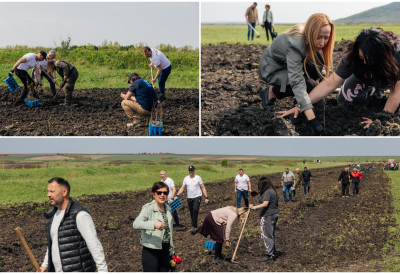 ВРШАЦ ДОБИО НОВИ ВЕТРОЗАШТИТНИ ПОЈАС На локалитету Мали Рит посађено 9.000 садница аутохтоних врста дрвећа КОРИДОР ЗА ЗАШТИТУ ПРИРОДЕ (ФОТО, ВИДЕО)