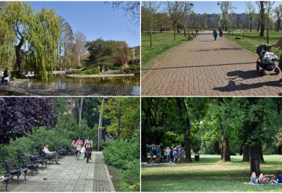 КОЛИКО ДОБРО ПОЗНАЈЕМО „ТАЈНЕ” НОВОСАДСКИХ ПАРКОВА Између урбаног ритма и тишине природе