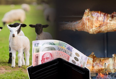 У НОВОСАДСКИМ МЕСАРАМА КИЛОГРАМ ЈАГЊЕТИНЕ ДО 1.500 ДИНАРА Јагањци овчарима доносе добру зараду, потражња не јењава ЕВО КОЛИКО ЈЕ ЖИВА ВАГА