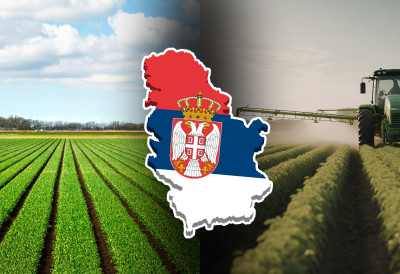 ДРЖАВА ПРЕУЗЕЛА СТОТИНЕ ХЕКТАРА ВРЕДНОГ ЗЕМЉИШТА У СИРИГУ И ЧЕНЕЈУ Незаконито коришћење коначно заустављено