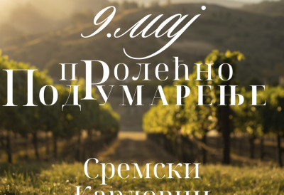 ПРОЛЕЋНО ПОДРУМАРЕЊЕ 9. МАЈА Нова винска авантура