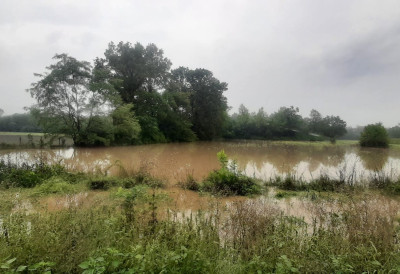 АЛАРМАНТНО И У ЧАЧКУ! Њиве поплављене, вода прети кућама - мештани у страху од најгорег