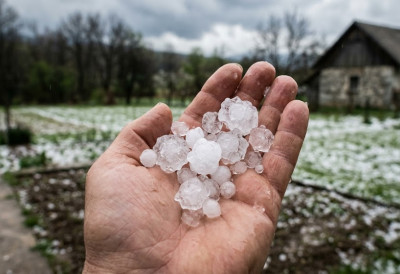 ЛЕД ПОКОСИО ВОЋЊАКЕ, СВЕ СЕ ЗАБЕЛЕЛО "Хорор, замрачило се, почело да грми, а онда је ударио град"