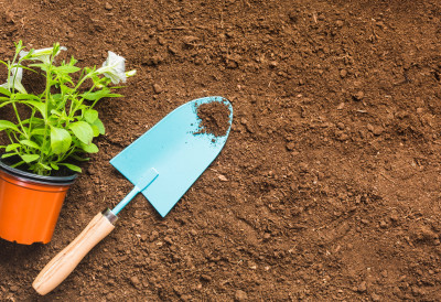 ЗАТВОРЕНИЦИ ПОКАЗАЛИ ШТА УМЕЈУ Производи из српских казнено-поправних установа привукли пажњу НА МЕЂУНАРОДНОМ САЈМУ ХОРТИКУЛТУРЕ