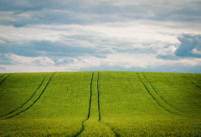 ДРЖАВА ПРЕУЗЕЛА СТОТИНЕ ХЕКТАРА ВРЕДНОГ ЗЕМЉИШТА У СИРИГУ И ЧЕНЕЈУ Незаконито коришћење коначно заустављено