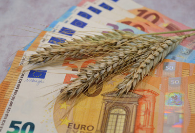 СВЕТ НА УДАРУ ПОСКУПЉЕЊА Од уља до меса - све скаче, шећер предњачи ФАО УПОЗОРАВА НА НОВИ ТАЛАС ГЛОБАЛНЕ КРИЗЕ