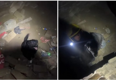 (ВИДЕО) НОВОСАДСКИ ХЕРОЈИ ПОНОВО ТАМО ГДЕ ТРЕБА Ватрогасци-спасиоци из мрака Ђавиних катакомби СПАСИЛИ ЗАГЛАВЉЕНО КУЧЕНЦЕ