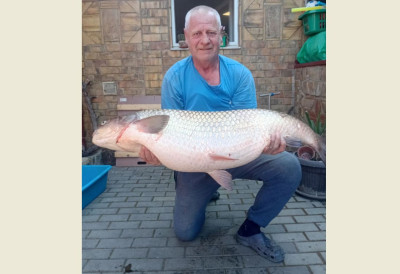 РАПОРТ С ВОДЕ Е, то је амур!