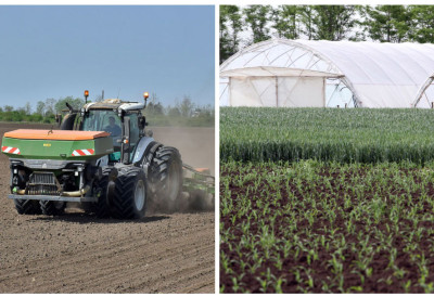 280.000 – 300.000 ПОЉОПРИВРЕДНИКА ПОДНЕСЕ ЗАХТЕВ ЗА СУБВЕНЦИЈЕ Мора се знати како се подели 100 милијарди динара