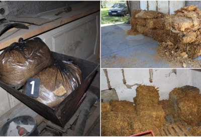 АКЦИЈА МУП-а КОД РУМЕ Пронађене стотине килограма дувана и машина за обраду ДРЖАВА ОШТЕЋЕНА ЗА ВИШЕ ОД 6 МИЛИОНА ДИНАРА