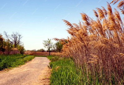 РАСТЕ ТЕМПЕРАТУРА, КОШАВА И ДАЉЕ ПРИСУТНА У БАНАТУ! У понедељак углавном суво и топло време ЕВО ГДЕ ЈЕ МОГУЋА КИША