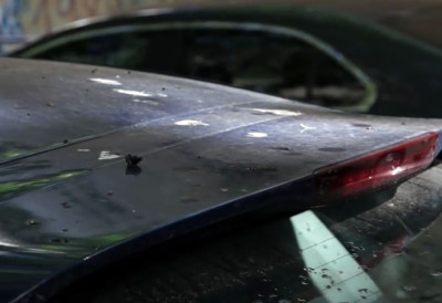 КАД ПАРКИРАШ АУТО ИСПОД ДРВЕТА Новосађанин најсрећнији власник аутомобила у Србији: "Господину се предлаже да уплати лото"