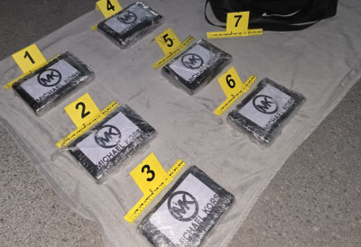 (ФОТО) ВЕЛИКА ЗАПЛЕНА У НОВОМ САДУ: ПОЛИЦИЈА НАШЛА 6 КИЛОГРАМА КОКАИНА Ухапшен мушкарац из Темерина