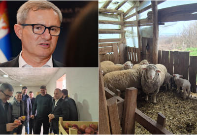 НОВИ ЗАКОНИ, ИЗВОЗНА ТРЖИШТА И ЈАЧАЊЕ СТОЧАРСТВА Ово је учинак министарства пољопривреде, водопривреде и шумарства за протеклих годину дана