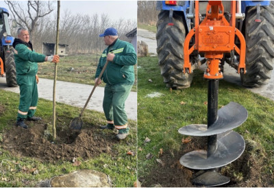 ВЕЛИКА ПРОЛЕЋНА САДЊА У БАЧКОЈ ПАЛАНЦА Више од 1.000 дрвећа и украсног растиња у центру и околним местима