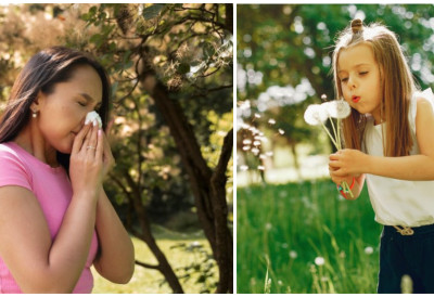 ОВИ ЧАЈЕВИ ЗАИСТА ПОМАЖУ КОД ПРОЛЕЋНИХ АЛЕРГИЈА! Природно олакшање за кијање, свраб и цурење носа